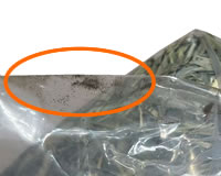 「書虱」*booklice