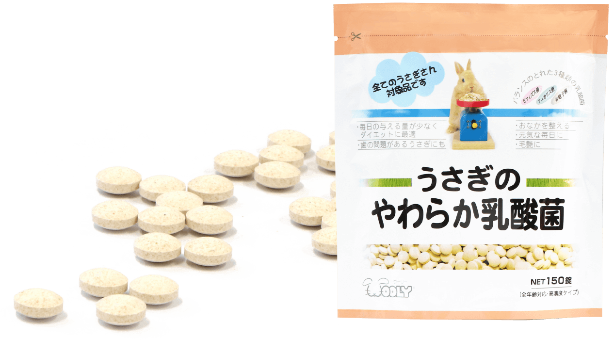 兔子的軟乳酸菌