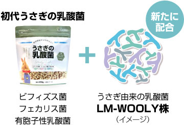 うさぎ由来の乳酸菌LM-WOOLY株®