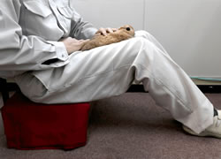 両腕を使う給餌･補水