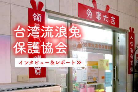 台湾流浪兔保護協会