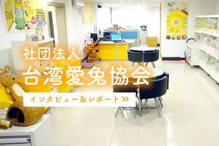 社団法人台湾愛兔協会