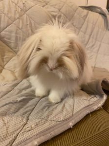 おっかむさん家のもっさんくん