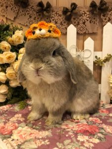 笠原和樹さん家のマロンくん