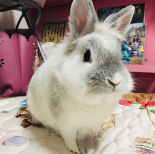 うららさん家の北星（ほくと）くん