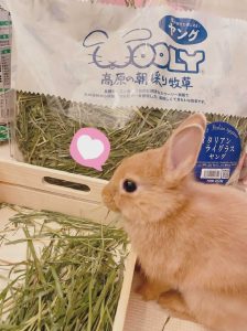 sayaさん家のちまきくん