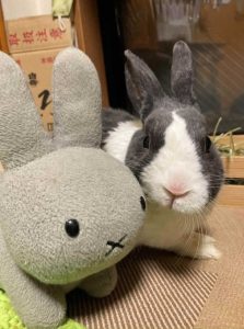 ヨッシーさん家のすももくん