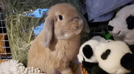 まあやさん家の蒼卯くん