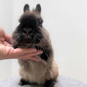 あやさん家のソラくん