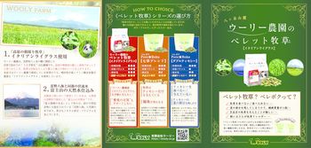 Pere★Bokuダブルティモシーパンフレット