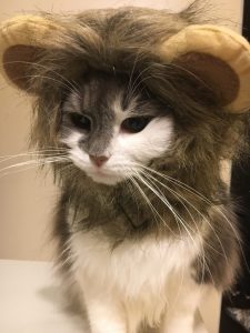 ときわさん家のモネちゃん