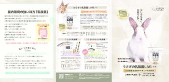 うさぎの乳酸菌LABパンフレット