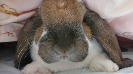 愛海ママさん家の蒼生ちゃん