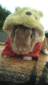 愛海ママさん家の愛海ちゃん