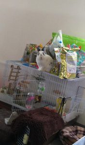 エリケルさん家のマイケルくん