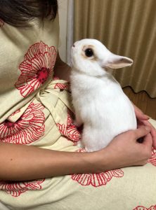 友野由紀絵さん家のマーガレットちゃん