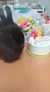 梅吉パパさん家の梅吉くん