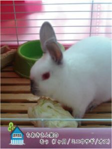 ちあきさん家のむぅくん