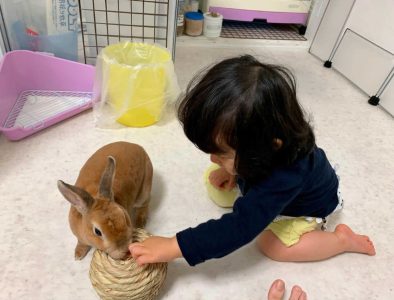 まるぼろさん家のゆうとくん