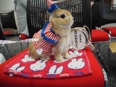 イナリーズさん家のいなりくん