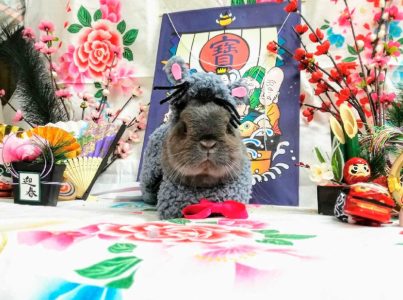 まるさん家のマリスケくん