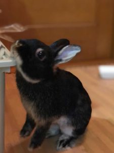 あきこさん家のみずはくん