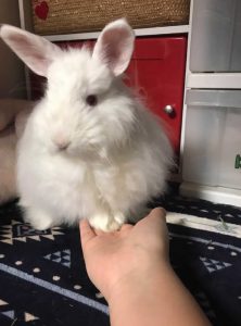 まりはぴさん家のまりんちゃん