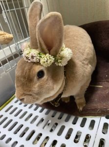 あやのさん家のレイくん