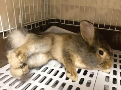 たあ坊さん家のれおすけくん