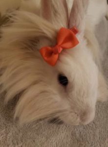 aliceさん家のレニちゃん