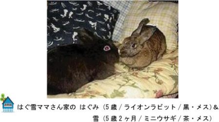 はぐ雪ママさん家のはぐみ＆雪ちゃん