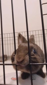 ちょんさんさん家の歩輝勇くん