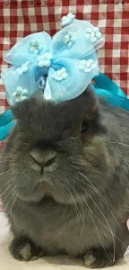 まるさん家のマリスケくん