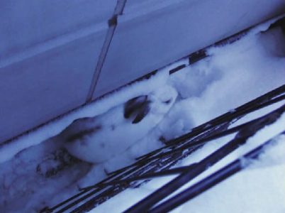 いち君の父さん家のまるるぅちゃん