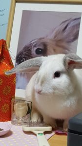 優音ママさん家の優音（ゆうね）ちゃん