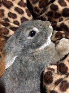 戸松 誠さん家のよもぎくん