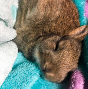 戸松 誠さん家のつむぎちゃん