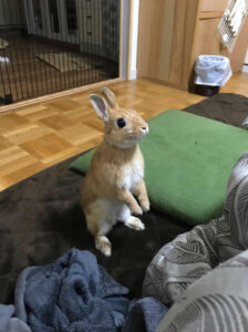 祐子さん家のマルくん