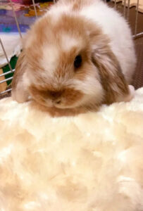 莉心さん家の詩風音ちゃん