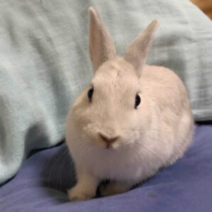 こうさん家の紡希ちゃん