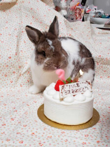 林 ハルパパさん家の春凪(はるな)くん