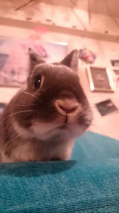 kuniさん家のばじるくん