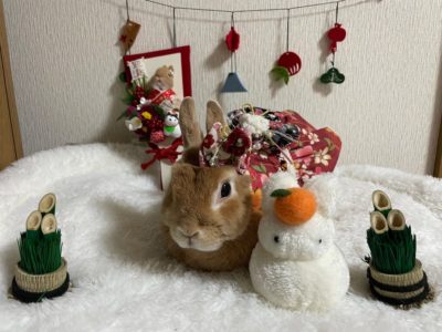 たかまきさん家のここあちゃん