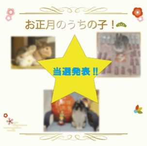 新春企画　お正月のうちの子！結果発表🎉