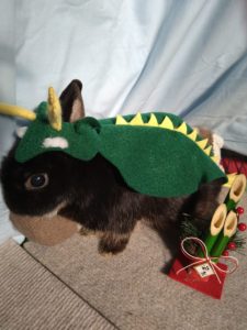 くろうさ飼いさん家の蔵之助くん