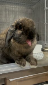 miotoさん家のシュウくん