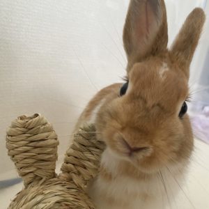 みーさん家の斗亜(とあ)くん