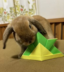 西川さん家のもんすけくん