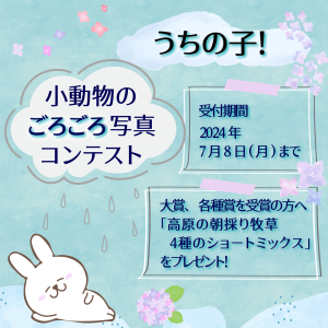 うちの子コンテスト　梅雨のごろごろ写真募集！