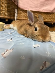 rufinさん家のむぎくん